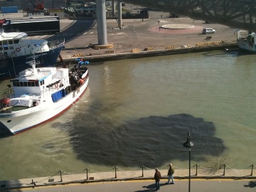 Fanghi nel porto canale - 1