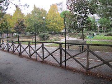 Albore Mascia in via Caduti per Servizio02