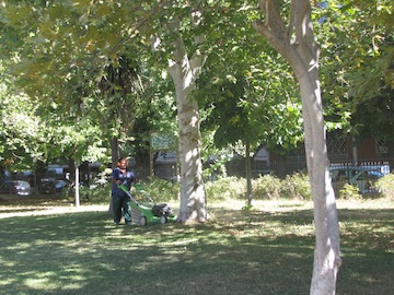 sopralluogo odierno Presidente Foschi al Parco Florida02