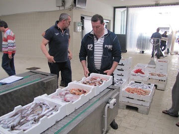 riapertura odierna del mercato ittico all'ingrosso01
