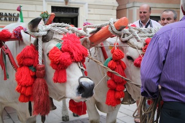 dall'Etna al Gran Sasso