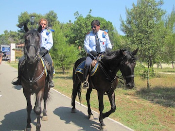 vigilanza pineta dannunziana