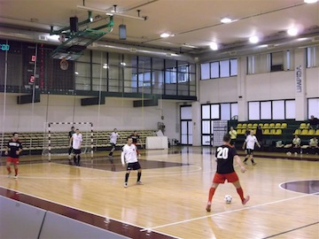 cornacchia ispira la manovra(Medium)