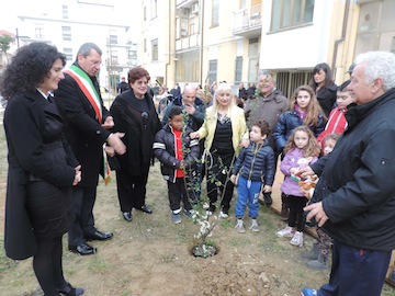 foto piantumazione albero4