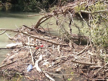 rinaturalizzazione fiume