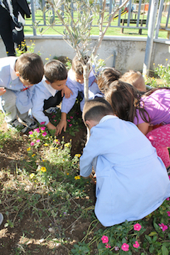 I bambini coprono le radici con la terra