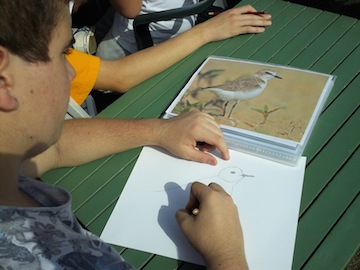 rilevazione sul campo 1