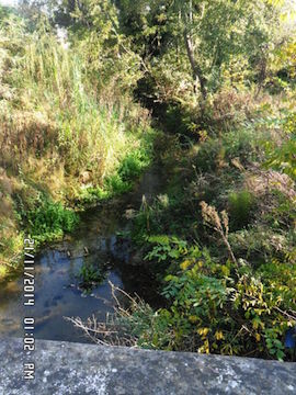 Spoltore Sopralluogo a Fosso Grande