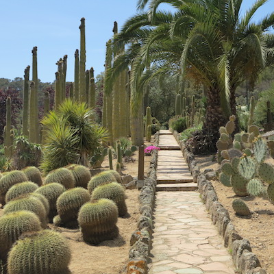 Mostra del Fiore Floriviva