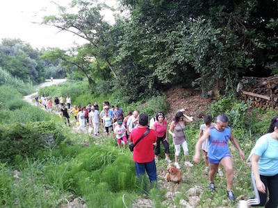 La solidarietà cammina ≠apassoduomo