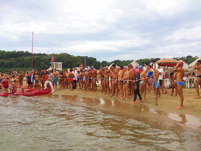 Premio D'Abruzzo per l'Ambiente
