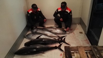 Sequestro tonno rosso