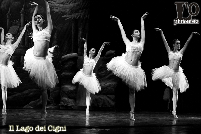 Il Lago dei Cigni al Teatro Massimo di Pescara