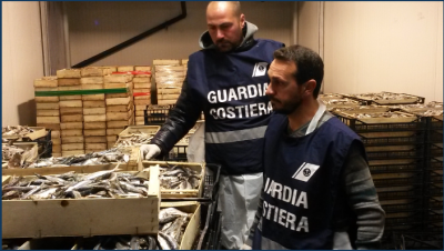 Controlli Guardia Costiera