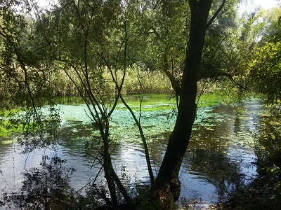 riserva sorgenti Pescara