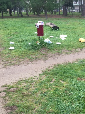 stato di abbandono in cui versa la pineta Dannunziana