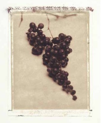 viaggio nella micro Dop Tullum