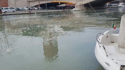 Segnalazioni per materiale che galleggia sul fiume Pescara