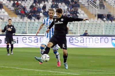 Spezia-Pescara probabili formazioni