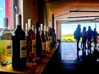 Sala per la degustazione multisensoriale