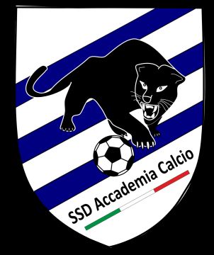 Ssd Accademia Calcio