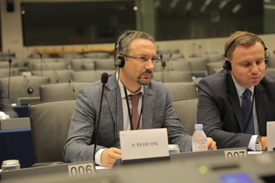 M5S-Piernicola-Pedicini