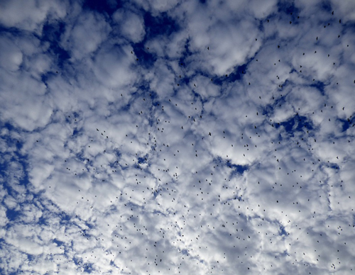 Previsioni meteo Abruzzo: aumento delle nubi tra venerdì e sabato