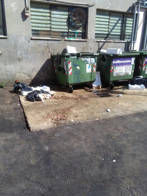 i furbetti del cassonetto