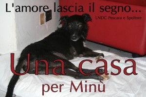 la dolce Minù