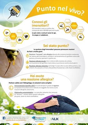 PUNTO NEL VIVO ABRUZZO