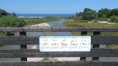 ponte ciclo-pedonale sul Tordino