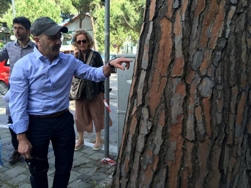 Sopralluogo Morelli maggio 3