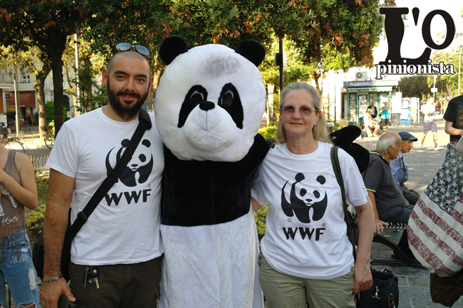 wwf al flash-mob