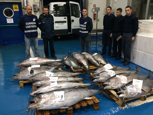 sequestro-tonno-rosso