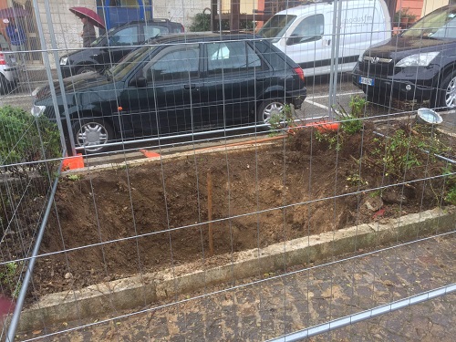 ripiantumazione-palme-in-piazza-della-liberta