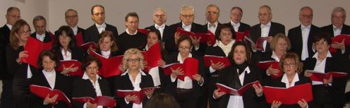 insieme-vocale-moti-armonici