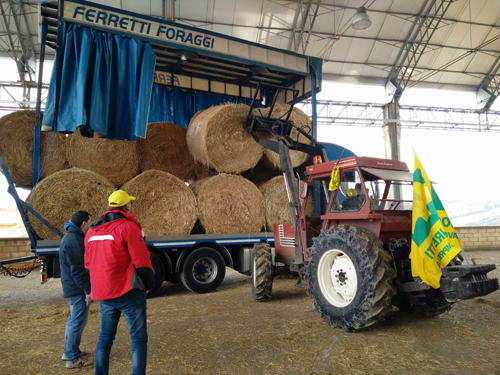 CAMPAGNA “DONA UN BALLONE” A UNA STALLA