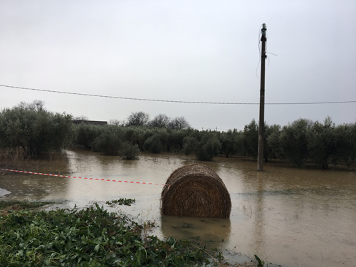 foto allagamenti Abruzzo