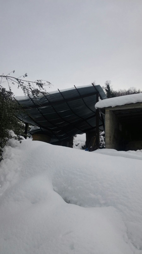 foto capannone crollato