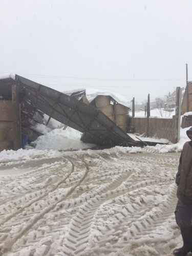 foto stalla crollata 1