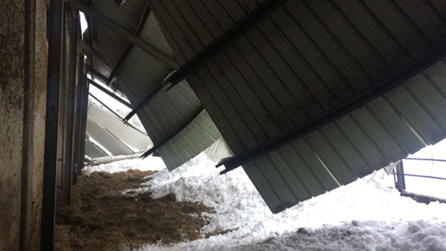 foto stalla crollata penne