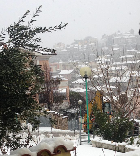 neve