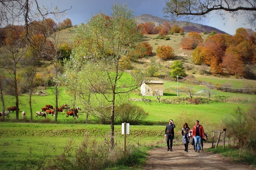 ventricina vastese protagonista