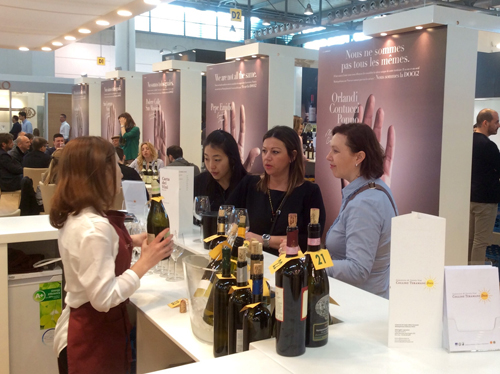 DEGUSTAZIONE UNICA DI COLLINE TERAMANE DOCG
