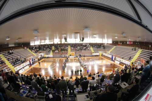 Final Four basket in carrozzina