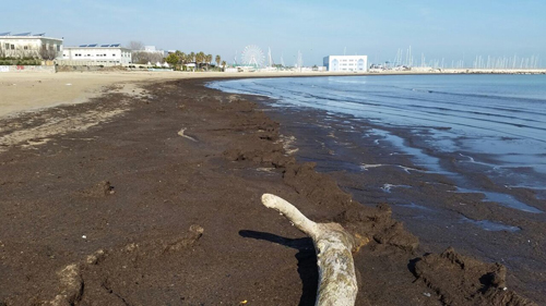 Pescara detriti arenati in spiaggia