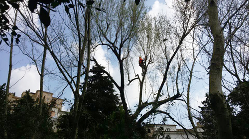 olmo Loreto Aprutino