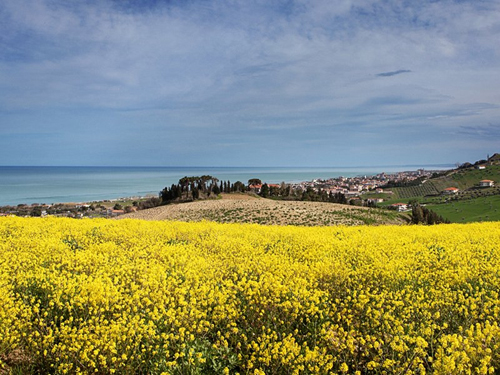 panoramica-verso-nord-della-Riserva-del-Borsacchio-sul-mare