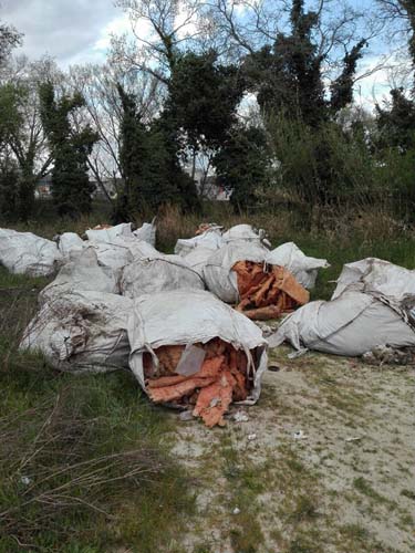 rifiuti speciali e sei gattini neonati buttati