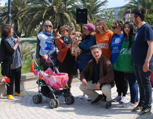 Gran festa animali con Microchip gratuiti a Porto Allegro